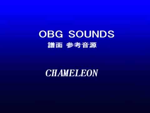 CHAMELEON
