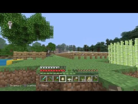 Minecraft 4 Chickens in 1 Egg