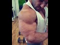 Daniel Sticco ifbb World Champion arms