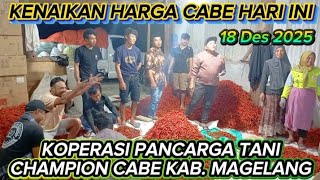 Download lagu Kenaikan harga cabai hari ini!Koperasi cabe Kab. Magelang nota untuk petani@Sariftanichannel6685 mp3