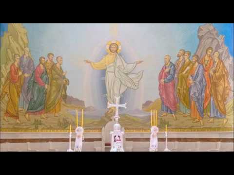Komenti Ungjillit Mateut (Mt:15: 29-31)