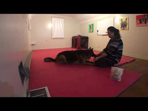 2018 1205 General Training