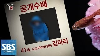 Download lagu 팔도 사내들을 울린 꽃뱀 '김마리' @궁금한 이야기 Y 150206 mp3