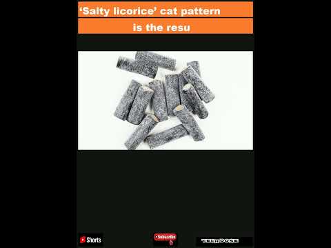 ‘Salty licorice’ cat pattern is the result of a genetic mutation, study reveals|Shorts