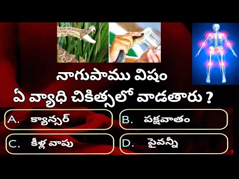 Unique Life Secrets Quiz Questions in telugu Episode:31