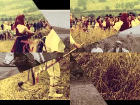 BooReek - BooReek video