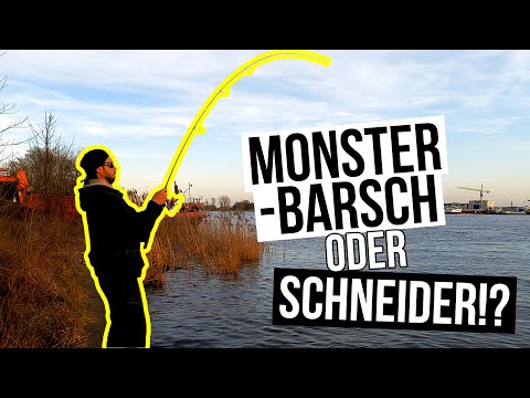 MONSTER PERCH or BLANK???