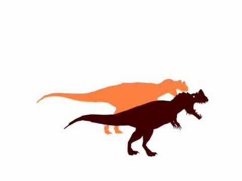 Ceratosaurus vs Allosaurus