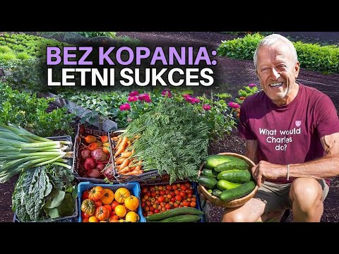 Sierpniowy ogród bez przekopywania – zbiory, następstwa i nowe nasadzenia w Homeacres