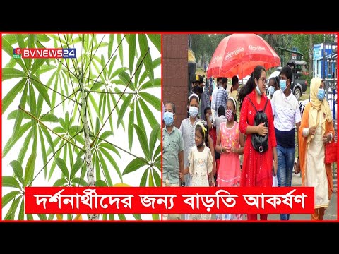 বঙ্গবন্ধু সাফারি পার্কে গাছের ধরনে পরিবর্তন