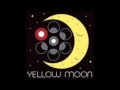 Yellow Moon   Pearl Jam