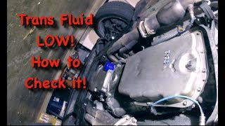 Transmission Fluid Low? How to check a 6L80 transmission fluid!