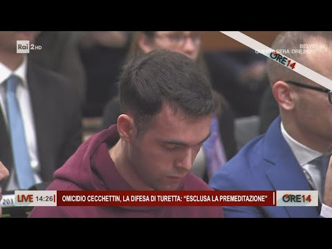 Cecchettin Murder: Turetta's Defense: "Premeditation Ruled Out" - 2:00 PM, November 26, 2024