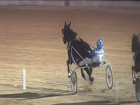 Trotto 06/07/2019 - 8ª corsa