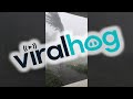 Golf Ball Sized Hail in Brazil || ViralHog