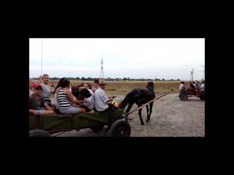 Milcoveni este un sat mic dar mare în ferisit