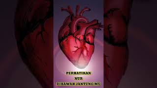 Download lagu METODE pelatihan ZIKIR ALLAH ALLAH didalam THORIKO NAQSYABANDIYAH MUJADDADIAH AL KHOLIDIAH mp3 Download lagu METODE pelatihan ZIKIR ALLAH ALLAH didalam THORIKO NAQSYABANDIYAH MUJADDADIAH AL KHOLIDIAH mp3