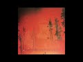 Flying Saucer Attack - The Whole Day (Extended)