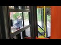 Un șofer De La CT BUS Supărat Nevoie Mare Pe Niște Tineri Rămași Cu Mașina In Statie De Autobu
