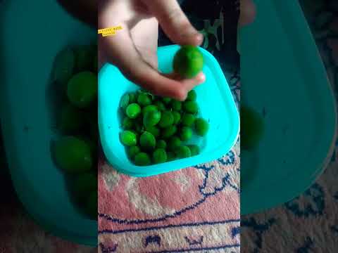 apricots with masala #apricots #spring #seasonalfruits