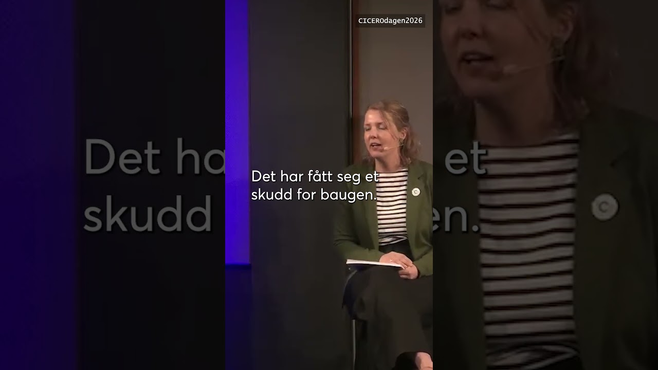 Mer internasjonal pragmatikk. Solveig Aamodt under CICEROdagen