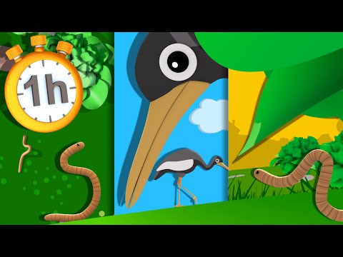 Le Petit Ver de Terre - 1h de Comptines Françaises