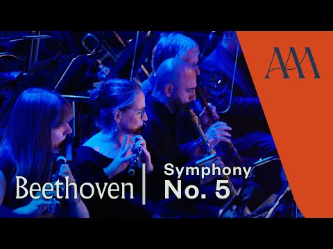 Beethoven's Symphony No. 5, Allegro