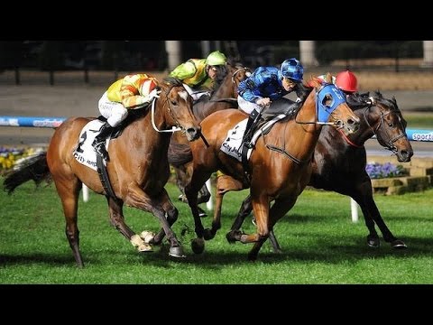 MOIR STAKES-26SEP MOONEE VALLEY