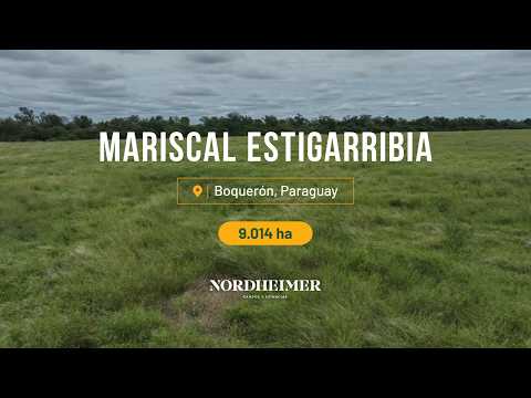 Mariscal Estigarribia, Boquerón, Paraguay - 9.014 ha | Campo ganadero en venta