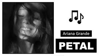 Cover art for petal (meme)