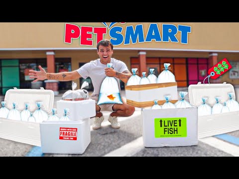 BUYING EVERY FISH from This PET STORE!!