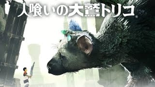 #9 人喰いの大鷲トリコ 〜トリコの過去〜【女性実況】