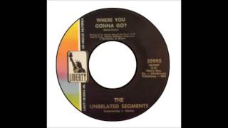 Unrelated Segments - Where You Gonna Go?