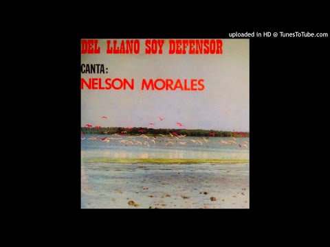12. Madrugada En Mi Tierra - Nelson Morales