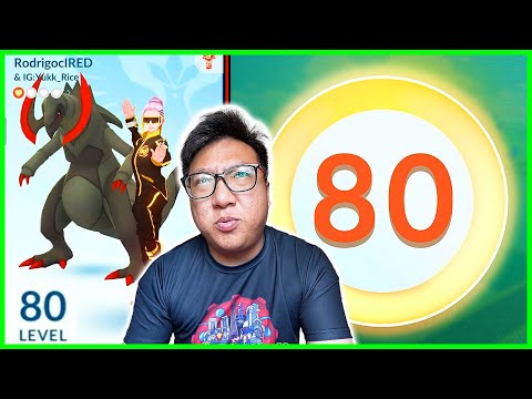 Someone Actually Hit LEVEL 80 in a Week, And It Was Cheated...