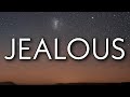 DJ Khaled Jealous Lyrics Ft Chris Brown Lil Wayne Big Sean