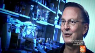 Through the Wormhole with Morgan Freeman: The Genesis of Cell Membranes