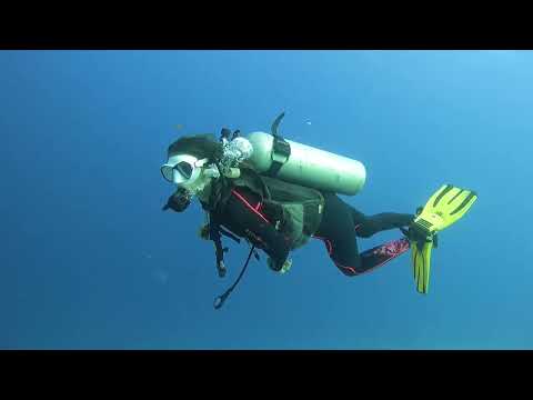 Diving in Komodo with Divers Paradise Komodo 060 Italian Couple FD Sabolon Kecil 2023 08 20