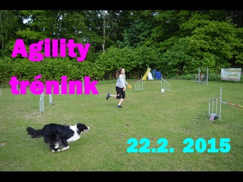 Agility trénink 22.2. 2015