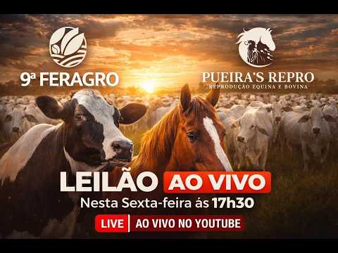 Acompanhe AO VIVO o leilão da Feragro de Capelinha! Grandes oportunidades, ótimos negócios.