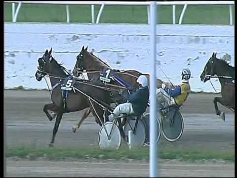 Trotto 12/02/2016 - 1° corsa