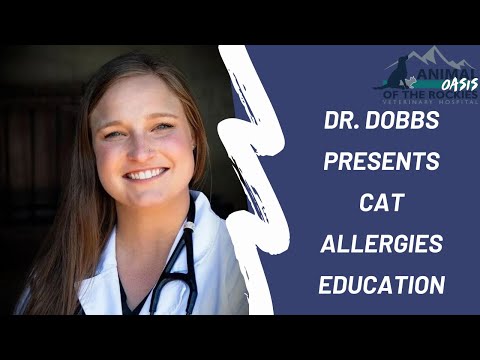 Cat Allergies Education