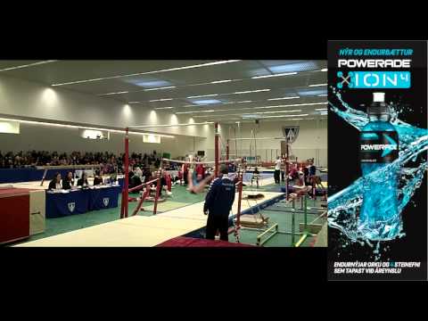 127   Tvíslá kvenna   Kristjana Ýr Kristinsdóttir   Björk