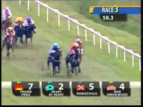 20110129 IPOH RESTRICTED MAIDEN 1400M (LC) - HEART BY HEART (TM Wan)