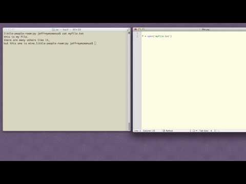 Codelesson Reading Files In Python