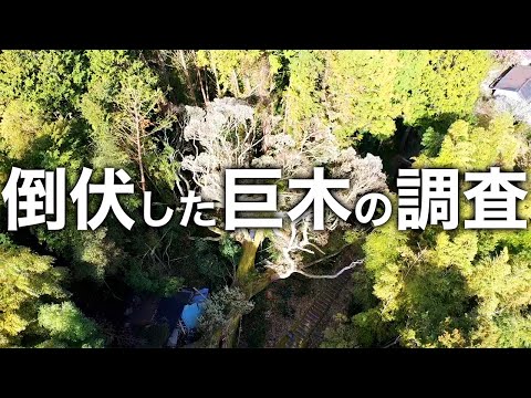宮ヶ原天神社 様の事例
