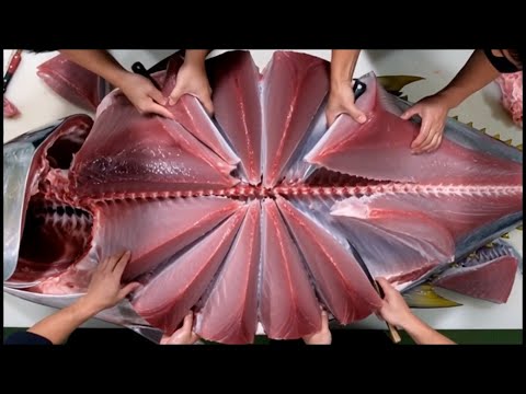 Amazing Giant Squid Cutting and Processing Skill