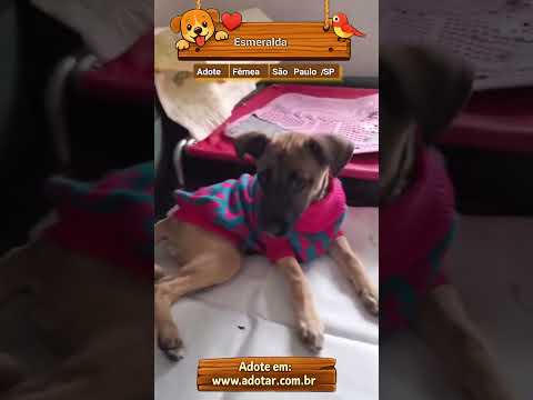 Vídeo de Esmeralda