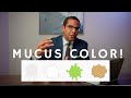 What Does The Color Of Your Mucus Mean Ear Nose Throat Surgeon Houston