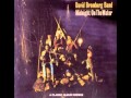 Don't Put That Thing On Me by David Bromberg